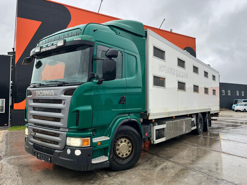 Scania G 480 6x2*4 BOX L=9212 mm / COOLANT LEAKAGE ON 3 RD CYLINDER - شاحنة ماشية: صورة 2 Scania G 480 6x2*4 BOX L=9212 mm / COOLANT LEAKAGE ON 3 RD CYLINDER - شاحنة ماشية: صورة 2