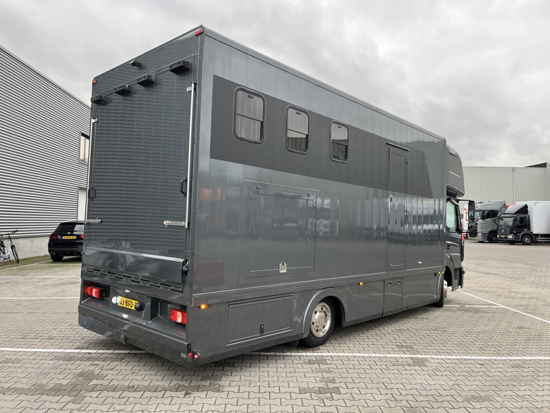 Mercedes-Benz Atego 816 / Horse Truck - 3 Horses / Camper / NL Truck - عربة نقل خيل: صورة 2 Mercedes-Benz Atego 816 / Horse Truck - 3 Horses / Camper / NL Truck - عربة نقل خيل: صورة 2