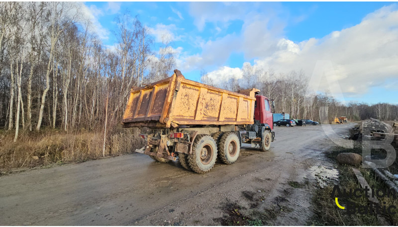 Maz 551669 - شاحنة قلاب: صورة 4 Maz 551669 - شاحنة قلاب: صورة 4