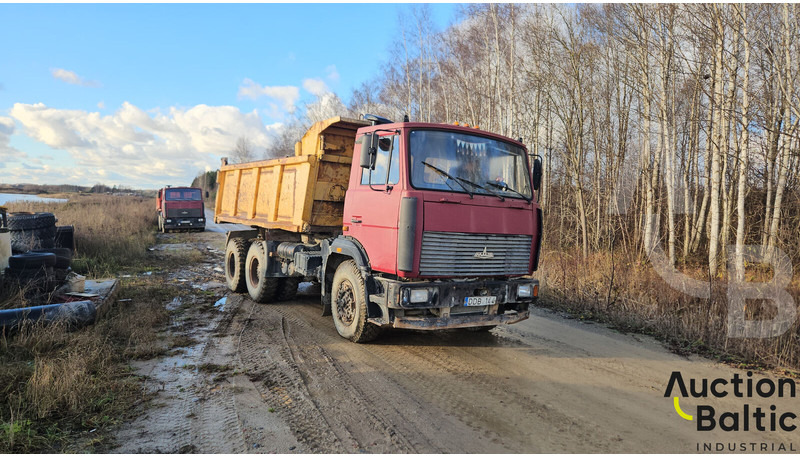 Maz 551669 - شاحنة قلاب: صورة 2 Maz 551669 - شاحنة قلاب: صورة 2