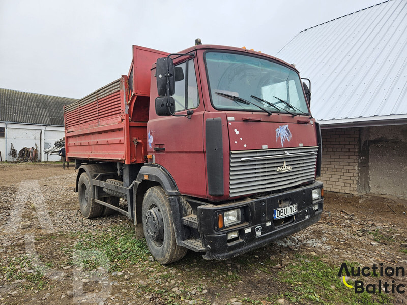 Maz 555132 - شاحنة قلاب: صورة 2 Maz 555132 - شاحنة قلاب: صورة 2