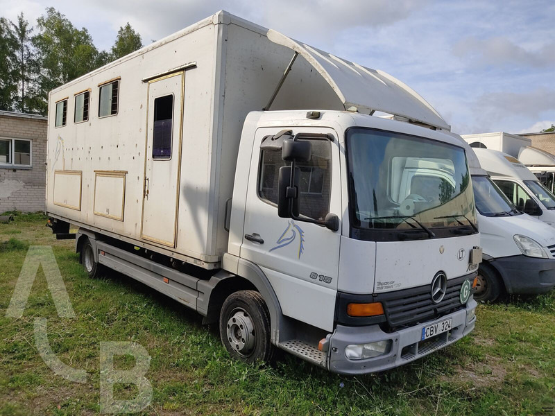 Mercedes-Benz 815 - شاحنة نقل خيل: صورة 1 Mercedes-Benz 815 - شاحنة نقل خيل: صورة 1