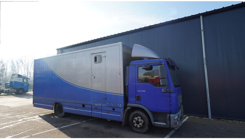 MAN TGL 8.180 HORSE TRANPORT 515.000KM - شاحنة نقل خيل: صورة 4 MAN TGL 8.180 HORSE TRANPORT 515.000KM - شاحنة نقل خيل: صورة 4