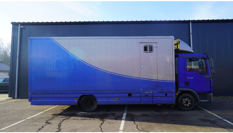 MAN TGL 8.180 HORSE TRANPORT 515.000KM - شاحنة نقل خيل: صورة 2 MAN TGL 8.180 HORSE TRANPORT 515.000KM - شاحنة نقل خيل: صورة 2