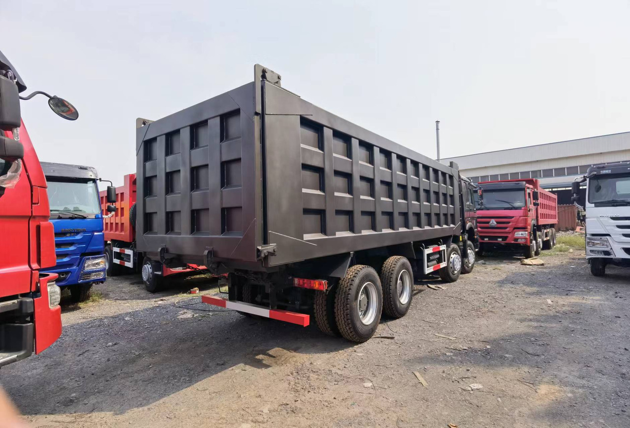 شاحنة قلاب Sinotruk HOWO 371 8*4 Dump truck: صورة 9