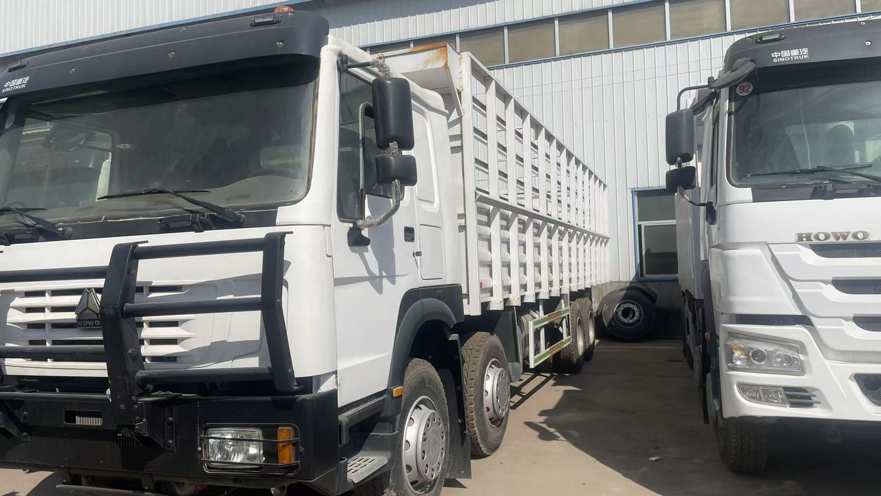 SINOTRUK HOWO 8*4 DUMP TRUCK 371 375 380 420 HP - شاحنة ماشية: صورة 2 SINOTRUK HOWO 8*4 DUMP TRUCK 371 375 380 420 HP - شاحنة ماشية: صورة 2