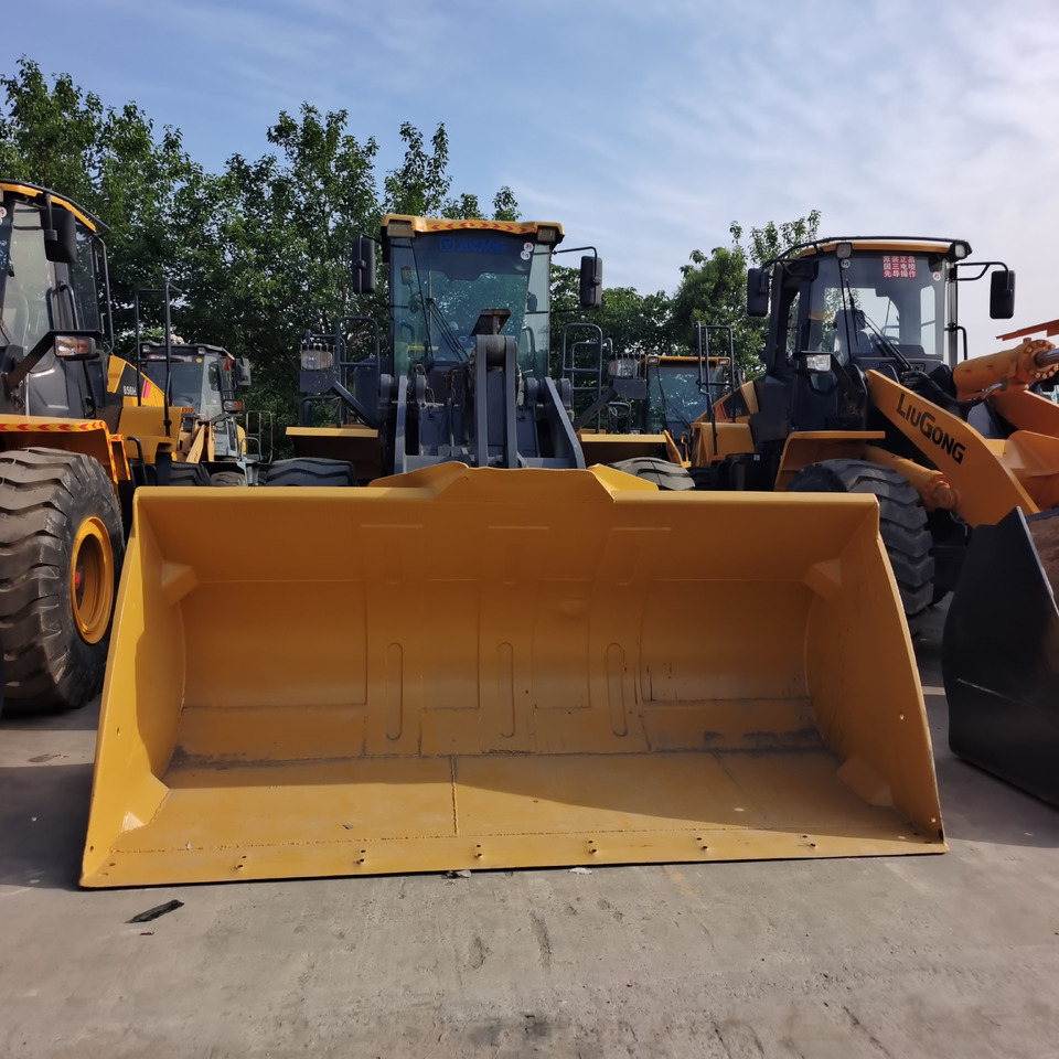 XCMG LW 600 FV - اللودر بعجل: صورة 1 XCMG LW 600 FV - اللودر بعجل: صورة 1
