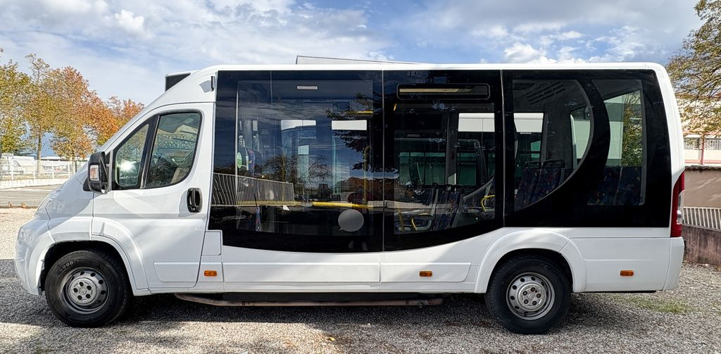 FIAT CITY 21 - حافلة المدينة: صورة 3 FIAT CITY 21 - حافلة المدينة: صورة 3