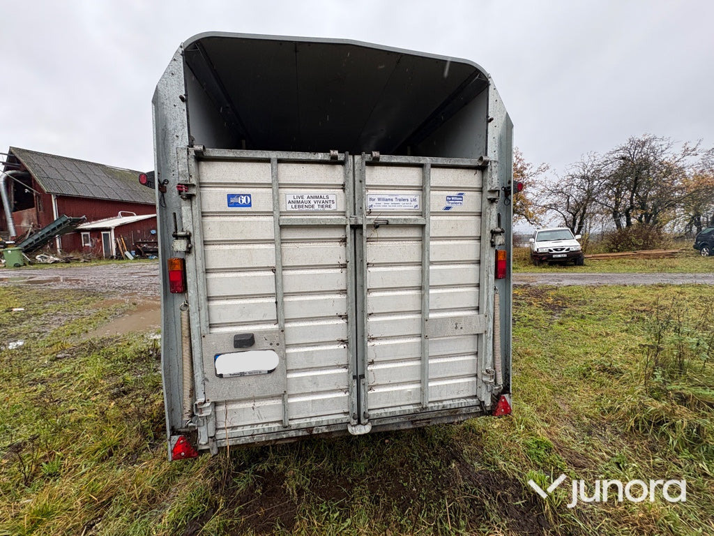 Boskapssläp - Ifor Williams - مقطورة للماشية: صورة 4 Boskapssläp - Ifor Williams - مقطورة للماشية: صورة 4