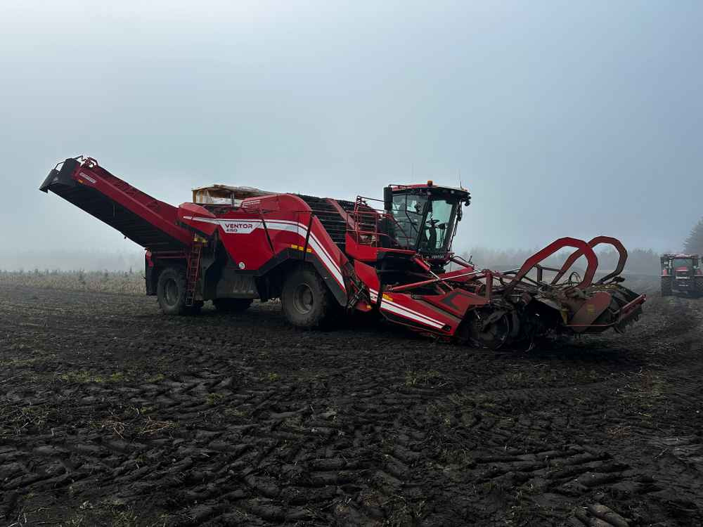 Grimme VENTOR 4150 ClodSep - آلات الحصاد: صورة 5 Grimme VENTOR 4150 ClodSep - آلات الحصاد: صورة 5