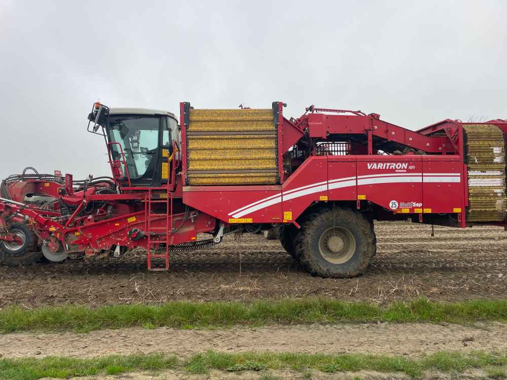 آلات الحصاد Grimme VARITRON 270 RS VARIO MULTISEP: صورة 12