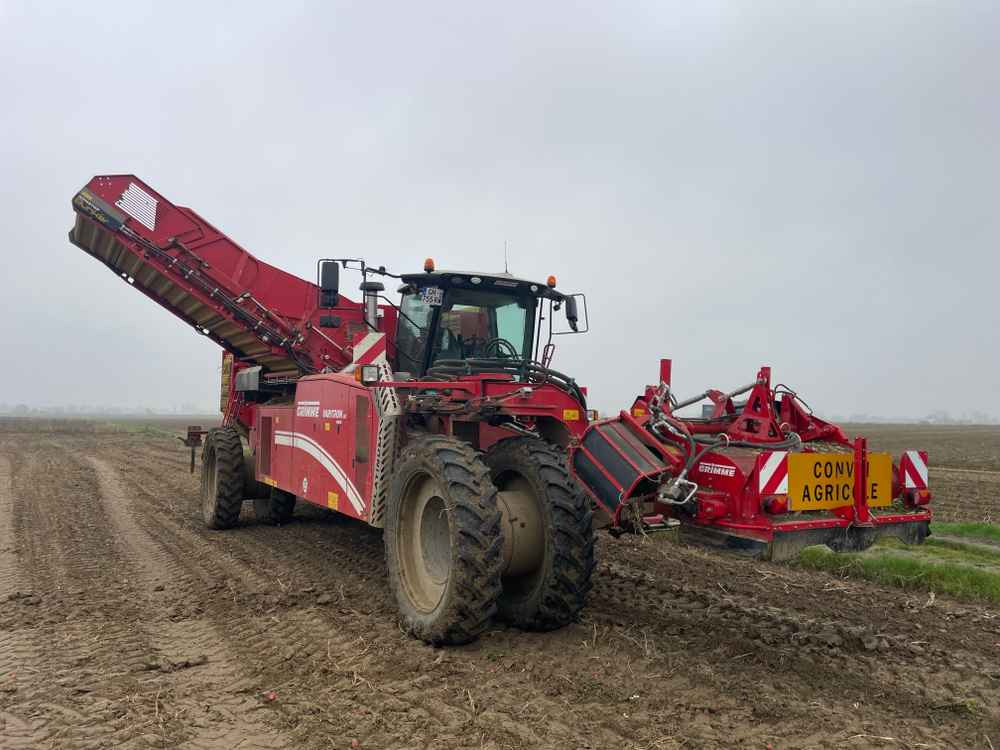 Grimme VARITRON 270 RS VARIO MULTISEP - آلات الحصاد: صورة 3 Grimme VARITRON 270 RS VARIO MULTISEP - آلات الحصاد: صورة 3