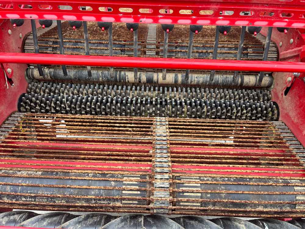 Grimme GT 170 - آلات الحصاد: صورة 4 Grimme GT 170 - آلات الحصاد: صورة 4