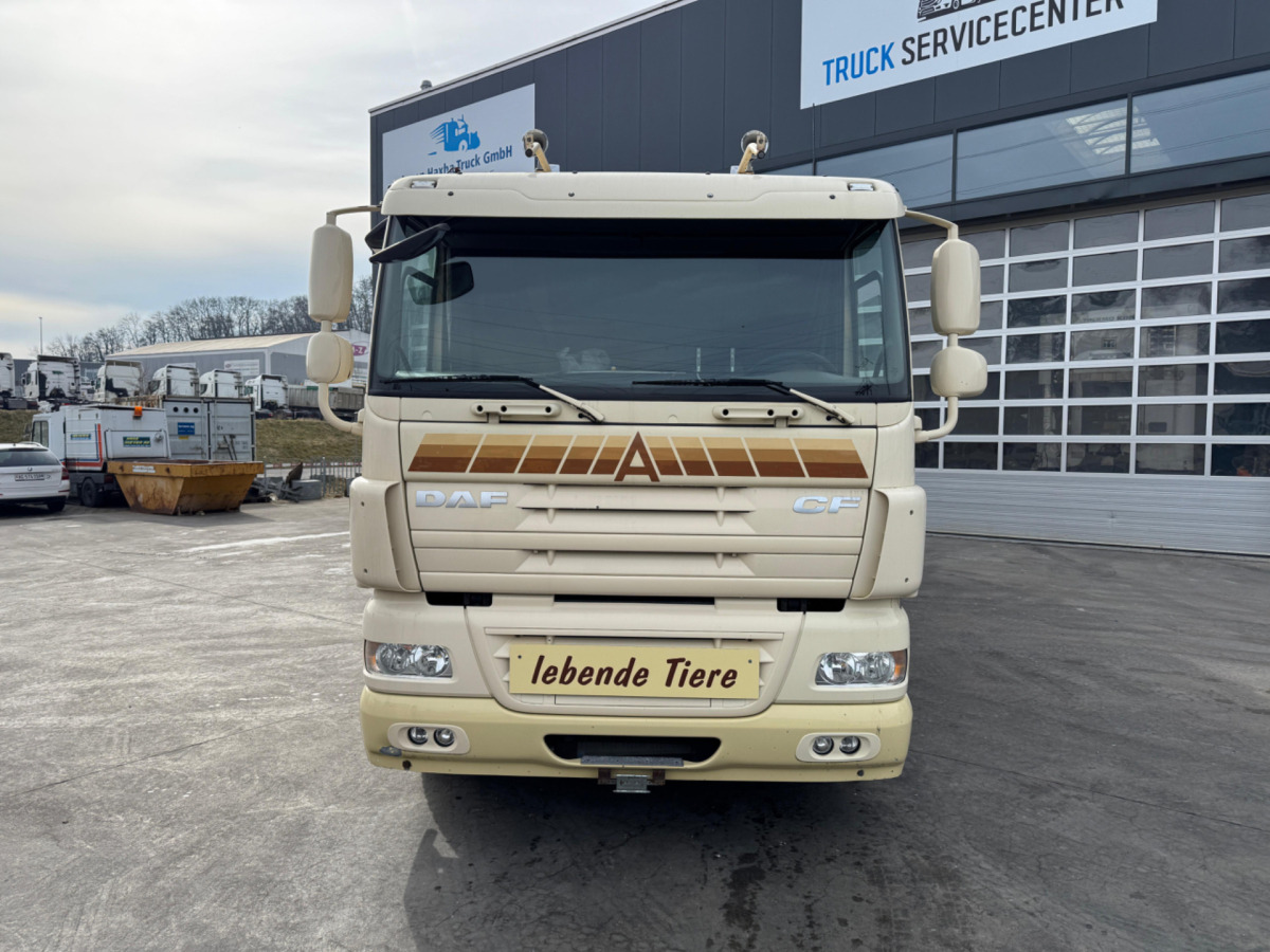 DAF CF410 4x2 - شاحنة ماشية: صورة 2 DAF CF410 4x2 - شاحنة ماشية: صورة 2