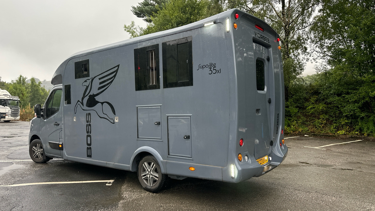 RENAULT MASTER 35 ENERGY 2.3 DCI 150PS - شاحنة نقل خيل: صورة 3 RENAULT MASTER 35 ENERGY 2.3 DCI 150PS - شاحنة نقل خيل: صورة 3