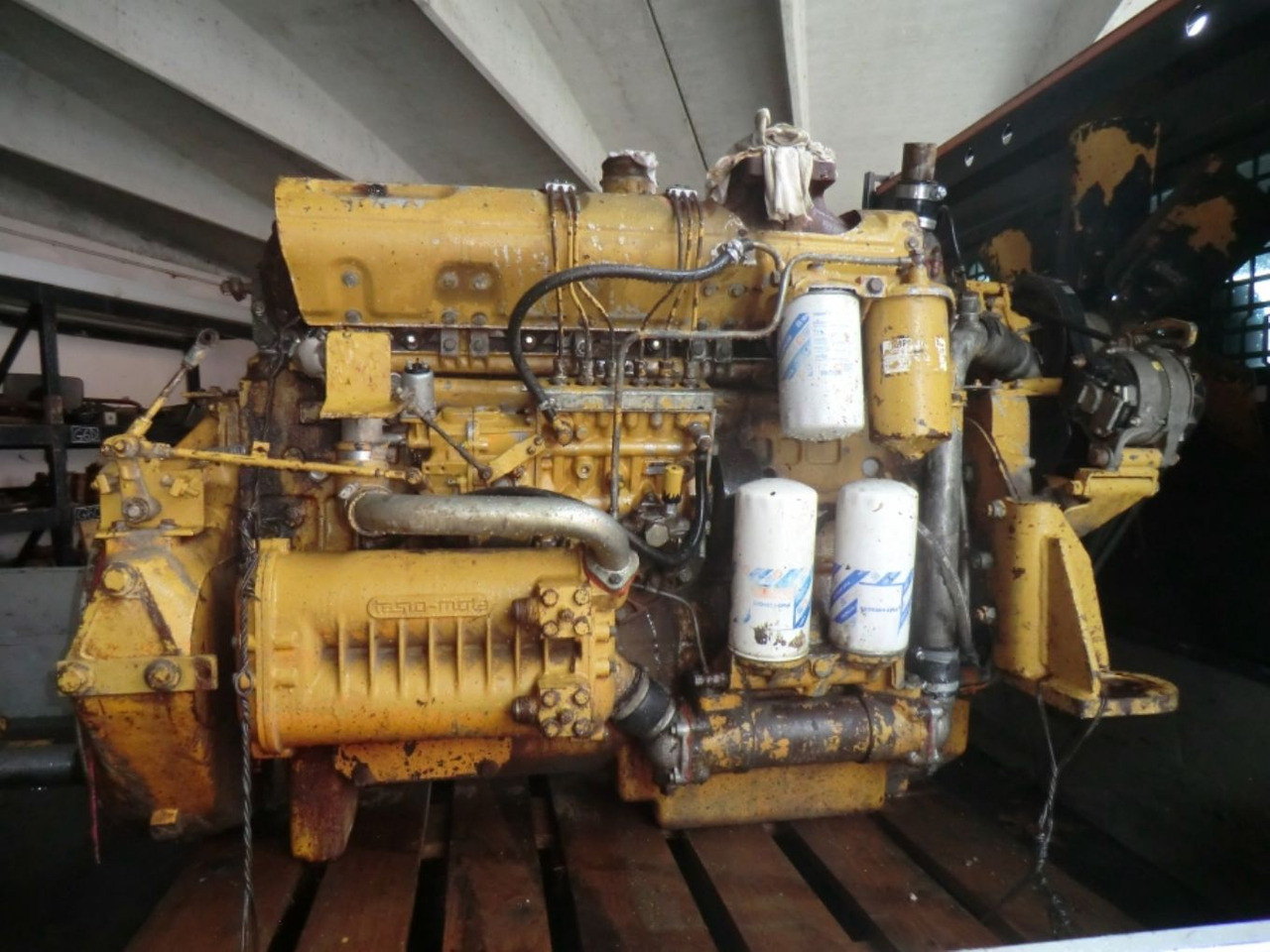 FIAT 8215-02 *542 Motore perfettamente funzionante completo di pompa nafta e iniettori revisionati. - محرك - آلات الإنشاء: صورة 1 FIAT 8215-02 *542 Motore perfettamente funzionante completo di pompa nafta e iniettori revisionati. - محرك - آلات الإنشاء: صورة 1
