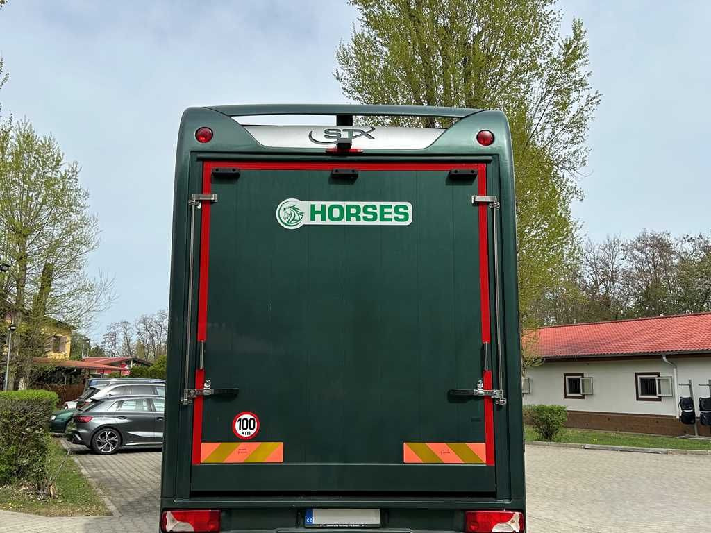 Volvo STX FL, 6 PEOPLE, 5 HORSES, CAMERA, 2X TAIL LIFT - شاحنة نقل خيل: صورة 4 Volvo STX FL, 6 PEOPLE, 5 HORSES, CAMERA, 2X TAIL LIFT - شاحنة نقل خيل: صورة 4