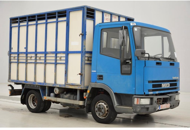 Iveco 65E14 - شاحنة ماشية: صورة 3 Iveco 65E14 - شاحنة ماشية: صورة 3