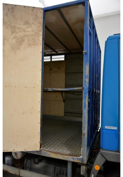 Iveco 65E14* - شاحنة ماشية: صورة 4 Iveco 65E14* - شاحنة ماشية: صورة 4