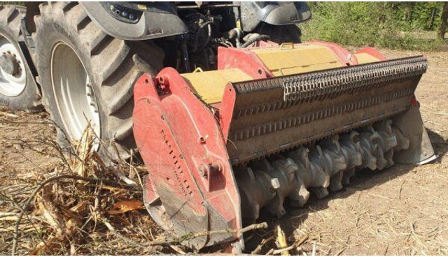 SEPPI M Starforst 2MEC 235 - ماكينات قطع الحشائش الغابات: صورة 1 SEPPI M Starforst 2MEC 235 - ماكينات قطع الحشائش الغابات: صورة 1