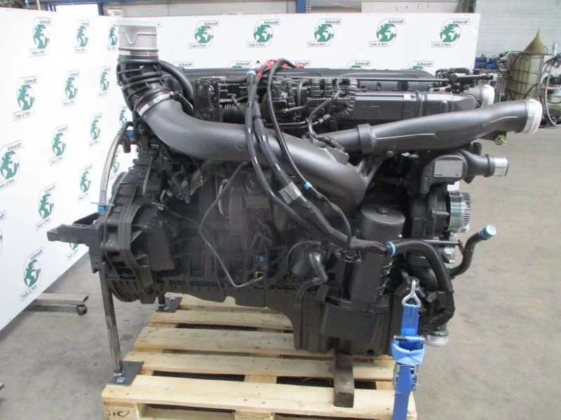 DAF 2353631 // 0452255 // 2304398 // MX13.355 U6 NIEUWE MODEL 2024 KM 167.592 - محرك - شاحنة: صورة 5 DAF 2353631 // 0452255 // 2304398 // MX13.355 U6 NIEUWE MODEL 2024 KM 167.592 - محرك - شاحنة: صورة 5