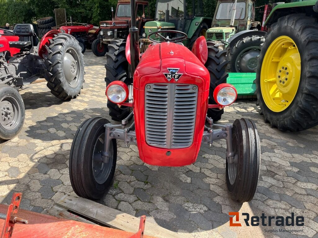 Traktor Massey Ferguson 35 - جرار: صورة 2 Traktor Massey Ferguson 35 - جرار: صورة 2