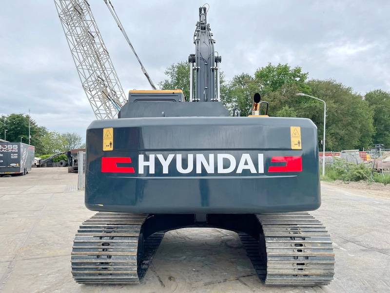 Hyundai R245LR - *2025 Model* New / Unused - حفّار: صورة 3 Hyundai R245LR - *2025 Model* New / Unused - حفّار: صورة 3