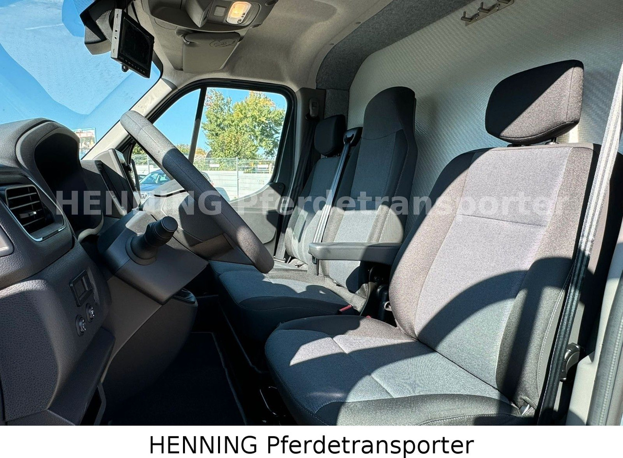 Nissan Interstar 3 - Sitzer - شاحنة ماشية: صورة 5 Nissan Interstar 3 - Sitzer - شاحنة ماشية: صورة 5