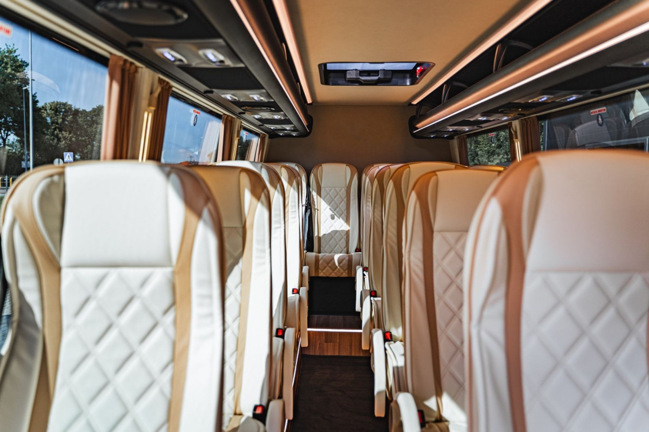 حافلة صغيرة, ميكروباص Mercedes-Benz Sprinter 519 Luxury Bus / 19+1+1 / Panorama XL: صورة 16