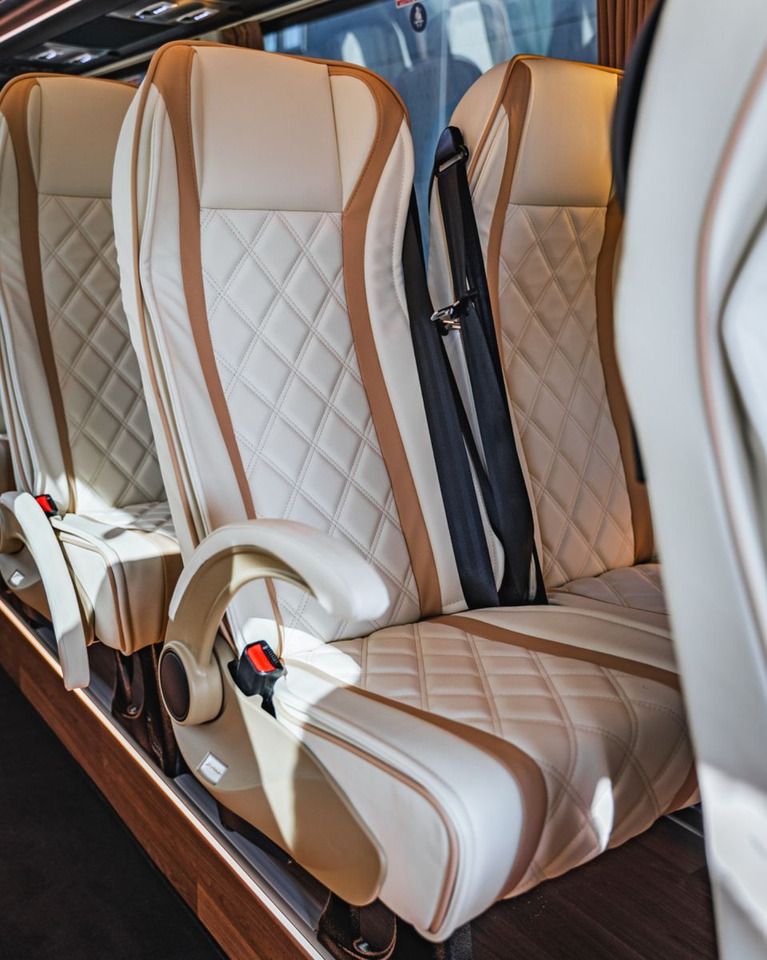 حافلة صغيرة, ميكروباص Mercedes-Benz Sprinter 519 Luxury Bus / 19+1+1 / Panorama XL: صورة 17