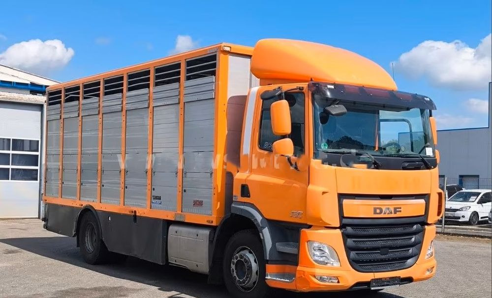 DAF CF 400 Menke Einstock | Transport zwierząt jednopoziomowy | 2 kratownice do bydła| Retarder | Euro 6 - شاحنة ماشية: صورة 5 DAF CF 400 Menke Einstock | Transport zwierząt jednopoziomowy | 2 kratownice do bydła| Retarder | Euro 6 - شاحنة ماشية: صورة 5