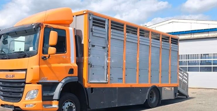 DAF CF 400 Menke Einstock | Transport zwierząt jednopoziomowy | 2 kratownice do bydła| Retarder | Euro 6 - شاحنة ماشية: صورة 2 DAF CF 400 Menke Einstock | Transport zwierząt jednopoziomowy | 2 kratownice do bydła| Retarder | Euro 6 - شاحنة ماشية: صورة 2