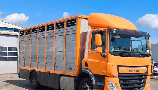 DAF CF 400 Menke Einstock | Transport zwierząt jednopoziomowy | 2 kratownice do bydła| Retarder | Euro 6 - شاحنة ماشية: صورة 1 DAF CF 400 Menke Einstock | Transport zwierząt jednopoziomowy | 2 kratownice do bydła| Retarder | Euro 6 - شاحنة ماشية: صورة 1