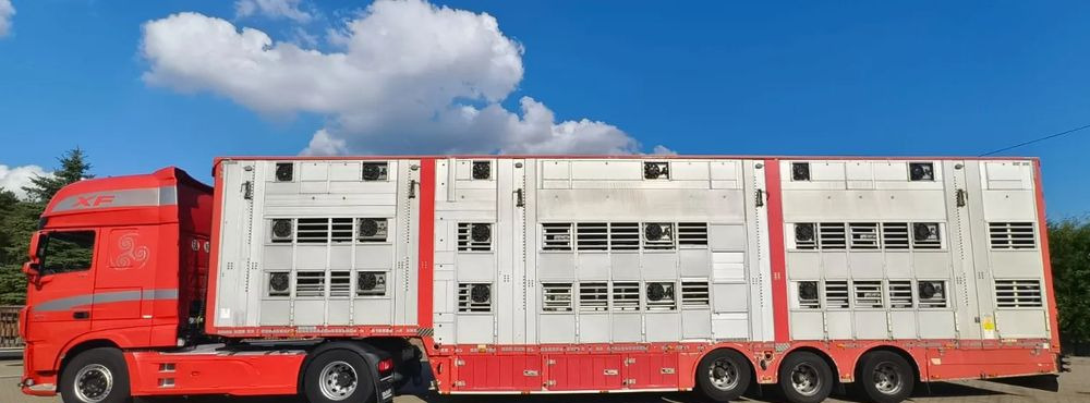 Pezzaioli 2017 / 3 POZIOMY / TRANSPORT ZWIERZĄT / HYDRAULIKA / STEROWANIE PILOTEM/ PODNOSZONY DACH / - نصف مقطورة للماشية: صورة 2 Pezzaioli 2017 / 3 POZIOMY / TRANSPORT ZWIERZĄT / HYDRAULIKA / STEROWANIE PILOTEM/ PODNOSZONY DACH / - نصف مقطورة للماشية: صورة 2