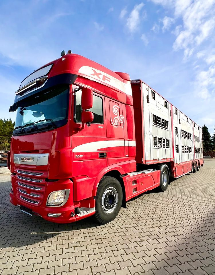 Pezzaioli NACZEPA 2017 / 3 POZIOMY / TRANSPORT ZWIERZĄT / HYDRAULIKA / STEROWANIE PILOTEM/ PODNOSZONY DACH / - نصف مقطورة للماشية: صورة 5 Pezzaioli NACZEPA 2017 / 3 POZIOMY / TRANSPORT ZWIERZĄT / HYDRAULIKA / STEROWANIE PILOTEM/ PODNOSZONY DACH / - نصف مقطورة للماشية: صورة 5