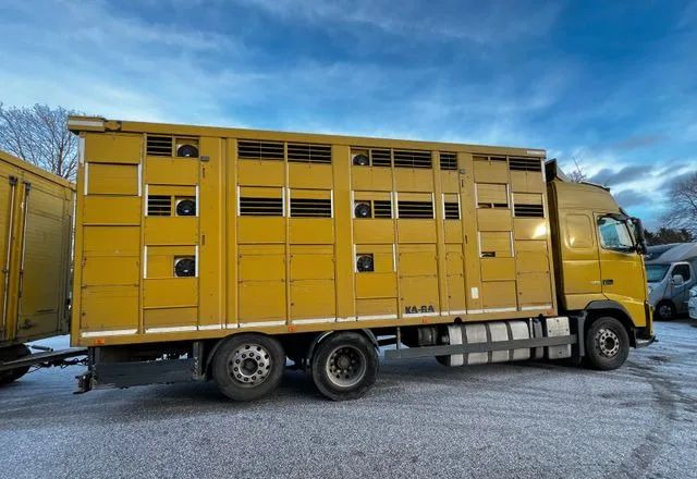 Volvo FH 420 • KABA • Transport Zwierząt 3xŚwinie/ 2xBydło 3-piętrowy • Euro 5 • Retarder • Oś podnoszona i skrętna - شاحنة ماشية: صورة 2 Volvo FH 420 • KABA • Transport Zwierząt 3xŚwinie/ 2xBydło 3-piętrowy • Euro 5 • Retarder • Oś podnoszona i skrętna - شاحنة ماشية: صورة 2