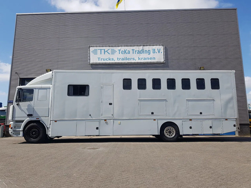 DAF 95.350 Paardenwagen met zitverblijf 7 paarden 7 horses - شاحنة نقل خيل: صورة 3 DAF 95.350 Paardenwagen met zitverblijf 7 paarden 7 horses - شاحنة نقل خيل: صورة 3