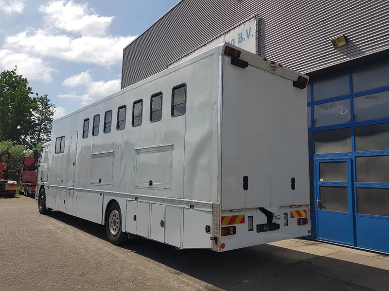 DAF 95.350 Paardenwagen met zitverblijf 7 paarden 7 horses - شاحنة نقل خيل: صورة 4 DAF 95.350 Paardenwagen met zitverblijf 7 paarden 7 horses - شاحنة نقل خيل: صورة 4