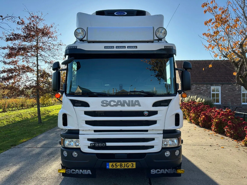 Scania P280 / NL TRUCK / EURO 6 / FULL AIR / CARRIER SUPRA 1250 / TOPCONDITION / LIFT+DOORS - شاحنة ذات مبرد: صورة 2 Scania P280 / NL TRUCK / EURO 6 / FULL AIR / CARRIER SUPRA 1250 / TOPCONDITION / LIFT+DOORS - شاحنة ذات مبرد: صورة 2