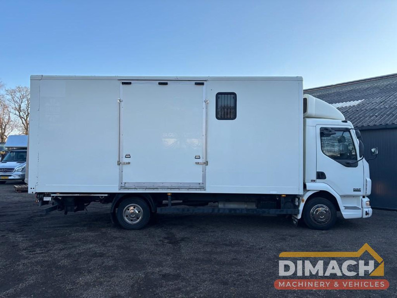 DAF FA LF45.150 4 paards, laadlift. Horsetruck NL truck - شاحنة نقل خيل: صورة 4 DAF FA LF45.150 4 paards, laadlift. Horsetruck NL truck - شاحنة نقل خيل: صورة 4