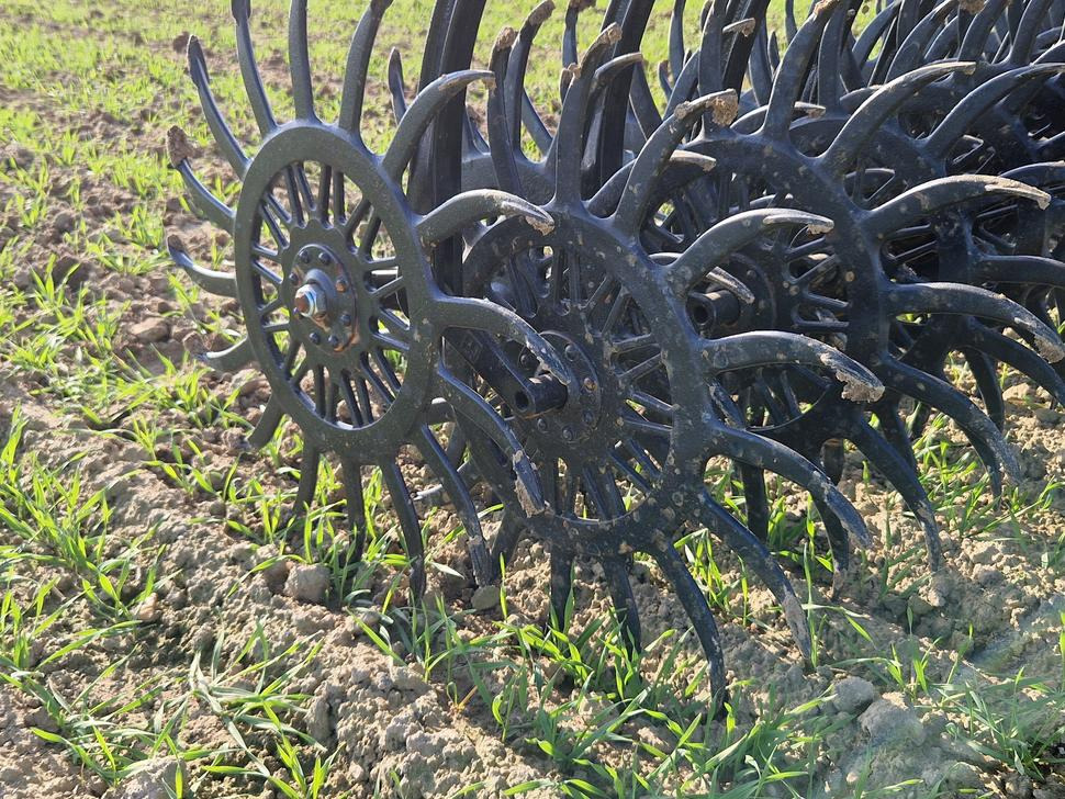 Namysło Rotorstriegel / Rotary hoe / Houe rotative / Ротационная борона / Brona wirnikowa / Pielnik 6,6 m - آلة حراثة: صورة 4 Namysło Rotorstriegel / Rotary hoe / Houe rotative / Ротационная борона / Brona wirnikowa / Pielnik 6,6 m - آلة حراثة: صورة 4