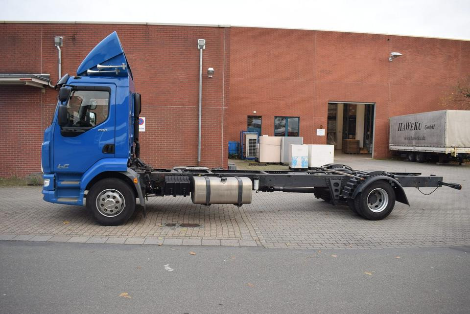 DAF LF 280 Fahrgestell Klima Navi 8-Gang ACC AHK - شاحنة بهيكل معدني للمقصورة: صورة 3 DAF LF 280 Fahrgestell Klima Navi 8-Gang ACC AHK - شاحنة بهيكل معدني للمقصورة: صورة 3
