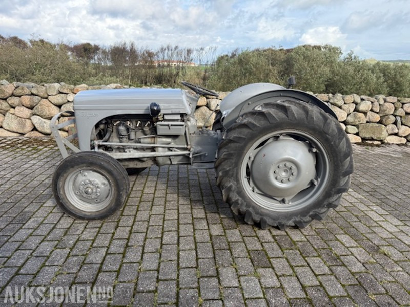 1960 Massey Ferguson Gråtass - جرار: صورة 1 1960 Massey Ferguson Gråtass - جرار: صورة 1