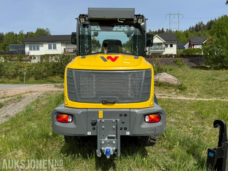 2023 Wacker Neuson WL70 hjullaster / Skuffe / Pallegafler - اللودر بعجل: صورة 5 2023 Wacker Neuson WL70 hjullaster / Skuffe / Pallegafler - اللودر بعجل: صورة 5