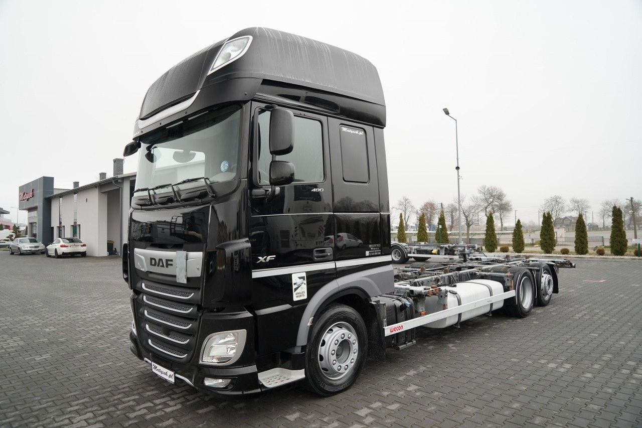 DAF XF 480 / BDF / 6X2 / / SSC / I-PARK COOL / OŚ P - ناقلة حاويات/ شاحنة حاويات: صورة 2 DAF XF 480 / BDF / 6X2 / / SSC / I-PARK COOL / OŚ P - ناقلة حاويات/ شاحنة حاويات: صورة 2