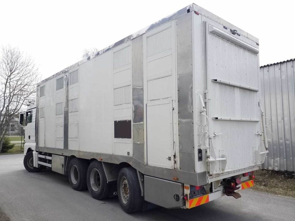 MAN TGX 35.540 8X4 TRIDEM ANIMAL - شاحنة ماشية: صورة 2 MAN TGX 35.540 8X4 TRIDEM ANIMAL - شاحنة ماشية: صورة 2