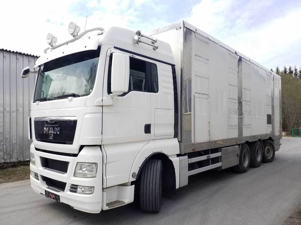 MAN TGX 35.540 8X4 TRIDEM ANIMAL - شاحنة ماشية: صورة 1 MAN TGX 35.540 8X4 TRIDEM ANIMAL - شاحنة ماشية: صورة 1