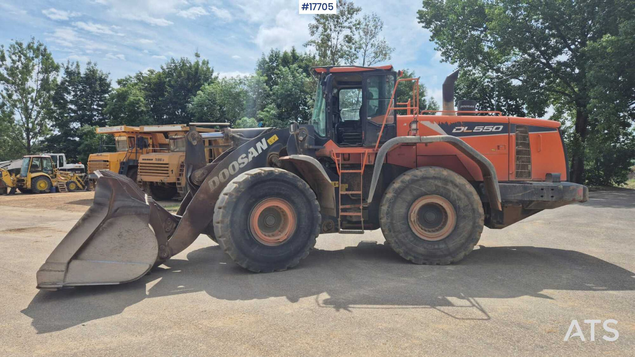 2019 Doosan  DL550-5 - اللودر بعجل: صورة 1 2019 Doosan  DL550-5 - اللودر بعجل: صورة 1
