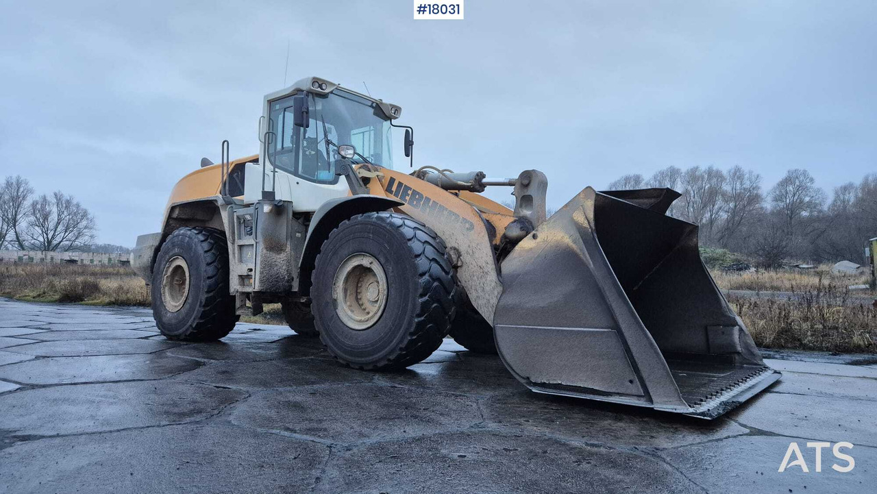 LIEBHERR L576 wheel loader (2017) - اللودر بعجل: صورة 2 LIEBHERR L576 wheel loader (2017) - اللودر بعجل: صورة 2