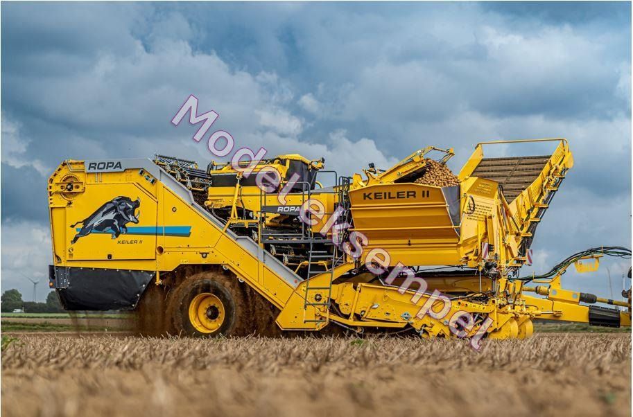 Ropa KEILER II L WD RK22 Ropa KEILER II L WD RK22 - حصادة البطاطس: صورة 1 Ropa KEILER II L WD RK22 Ropa KEILER II L WD RK22 - حصادة البطاطس: صورة 1